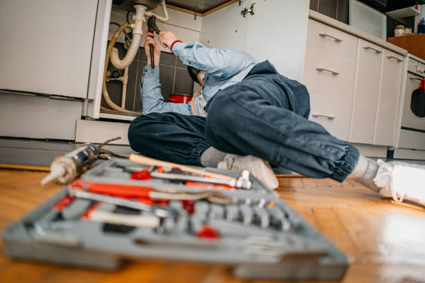 Best Sewer Line Repair  in Jonesboro, IL