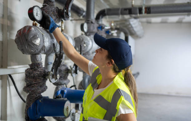 Best Drain Cleaning Services  in Jonesboro, IL